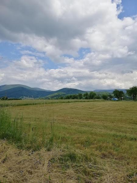 Chata U Losinky Velké Losiny Εξωτερικό φωτογραφία
